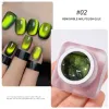 6g/jar gatto gel gel gel gel magnete laser immergere fuori manicure a led semi permanente permanente gel vernice colla manicure