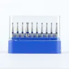 10pcs/lote Dental Dental Dinter