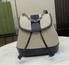 Femmes mini sac d'été de créateur d'été beige toile vede molle