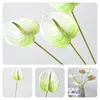 Simulazione di fiori decorativi Anthurium Andraeanum Lind House Home Bouquet Delicate Delicate Decor Disposition Branch artificiale artificiale