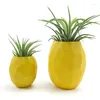 Vaser 3m lim ananas luft växtpott hållare planter container display med inomhus vägg heminredning