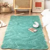Tapetes de flanela espessada de inverno, a cabeceira de cabeceira tatami tapete de piso de piso hall mole berçário mole tocar tapetes