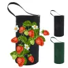 Borsa di piantagione di fragole per giardino all'aperto Bagna a stile aperto Borsa di coltivazione Non tessuto Contenitore non tessuto Strumenti da giardino traspirante