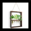 Vasi a parete Montate Piante sospese Test Floro Bud Glass Terrario Ternello in legno per la casa DECORAZIONE DEL GIARDINO