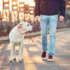 Dog Collars POPETPOP Training Walking Leash Pet Supply Nylon Rope (Red)