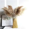 Flores decorativas Pampas Decoración de hierba seca con jarrón de plástico Feather natural Fluffy Bunch Home