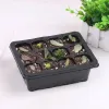 Behogar 6 Conjunto Kit de bandeja de partida de sementes de plântulas de 12 células para Garden Greenhouse Suculent Wheatgrass Microgreens 18.7x14.5x11cm