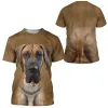 HX Hayvanlar Erkek Tişörtleri Avustralya Sığır Köpek Ön Arka 3d Baskılı T-Shirt Kadın Günlük Gömlek Yaz Kısa Kollu Tees