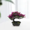 Fleurs décoratives Bonsaï Pinai Arbre Desk Plants de chambre Simulation de décoration de chambre pour la vie zen de bureau Décoration de jardin