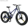 Bikes 26 * 4.0 Fat Tire Bike Bike Disc Disc Frein avec amortisseur Bike 7/21/24/27 Speed Snow Beach Bicyc L48