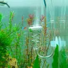 Contatore a bolle di diffusore a spirale in vetro per diffusore di serbatoio piantato per acquario per accessori per acquario del generatore di CO2