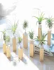 Gartendekorationen Eisen Luftanlagen -Standbehälter Tillandsia Halter Tabletop Topf -Rack Vase mit Holzbasis XB14743036