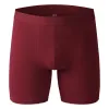 Hommes à longue jambe Confort Sous-pants boxer Brief