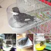 Andra fågelförsörjningar Lätt att rengöra badkar transparent bur för små fåglar papegoja täcker budgier kanarie