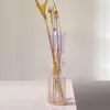 Vasi di vetro trasparente Vaso Nordic Gradiente Nordic Decorazioni trasparenti Piante idroponiche Contenitore Tavolo da casa Decorazione