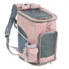 Kattbärare Portable Travel Bag Sports ryggsäck Collapsible Breattable Pet Medium Dog ut ur ryggsäcken Cosset