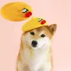 Psa odzież z pensa beret filc wiśnia urocza design wełniana wełna regulacyjna klamra zimowa nakrycia głowy Pography Rekwizyty dla kotów psy