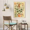 Vintage Classic Wall Art Plants Mushroom Medicine Flower Insect Butterfly Vegetable Pumpkin Carrot Canvas Oil Posters And Prints