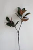 Fleurs décoratives 44 "Énorme touche naturelle Faux Magnolia Branches de feuilles - Green High Quality Artificial Plant Office / Wedding / Home