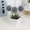 Fleurs décoratives 3pcs Plante artificielle Baule poilue Bon décoré pour la maison Restaurant Office Store Tablet Boundage et comptoirs