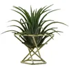 15個のPCS幾何学的な空気植物ホルダーエアプラントラック金属植物スタンドプランターシェルフヒンメリの装飾ティランドシアコンテナ