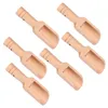 Cuillères 8pcs poignée ronde en bois Petites scoops cuillère à café pour le bain de sucre de sel de poudre de poudre