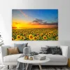 Paysage tournesol canvas de lumière du soleil peinture de nature affiches au lever du soleil et imprimés images d'art mural salon décoration intérieure sans cadre