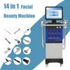 Équipement de beauté multifonctionnel 14 dans 1 Aqua Hydro Water Dermabrasion Oxygène Spray RF Bio Louting Spa Face Peau Claignage en profondeur Hydro Machin