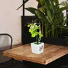 Fleurs décoratives fausse table de table en pot décoré artificiel simulé simulation de faux plastique orchidée