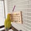 Other Bird Supplies Funny Pet Parrots Grinding Chew Toy Wood Training Natural Keyboard Molar For Tearing