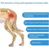 Cintura di correzione ausiliaria dell'articolazione dell'anca per cani per lesioni animali e pareti per le gambe delle gambe Protettore PET FORNITÀ