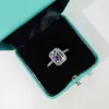 Bandringe Jade Cut 2CT Laboratory Diamond CZ Ring 925 Sterling Silber Versprechen Engagement und Ehering J240410