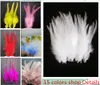 New! 20 pc 4-6inches/10-15cm beautiful white natural pheasant feathers , Diy jewelry decoration