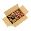 20/60PCS 3cm Artificial Mini Acorns, Fake Fruit Props Lifelike Oak Nut Plants Model Craft for Home Kitchen Table Decor