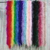 2Meters/Lot Ostrich Feather Boa Decor for Clothes Holiday Decorations Fluffy Feathers Cape Handicraft Accessories Plumas Trims