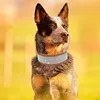 Benepaw Bling Rhinestone Dog Collar Soft Stylish Comfortable Adjustable Reflective Stripe Pet Collar For Small Medium Large Dogs