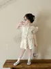 Zoete meiden kanten ruches sets meisjes gaze falbala vlieghuls shirt met rokken 2pcs 2024 zomer kinderen prinses outfits z7617