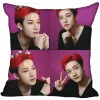 New Bang Chan Kpop Cover Coubelle Chambre Home Office Decorative Ahelbase thelpas Square Zipper Classement 45x45cm Satin Soft No Fade