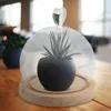 Platen glazen hoes bruiloftsvoorziening het bel jar display anti-stof dessert mini-decoratie hoge borosilicaat dienbladplanten