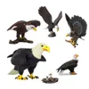 Realistic Life Wild Animal Figurina Bald Eagle Plastic Eagle Model Figure Gifts per le sculture per decorazioni per la casa Collezione