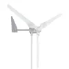1000W/1500W/2000W Windkraftanerator 24 V/48 V niedriger Windgeschwindigkeitsstart 5 Blattwindmühle Permanent Magnet Wind Power Generator Kit Kit