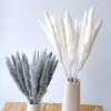 Gris Pampas Decor d'herbe Wit Wit Sèche Bouquet Artificiel Plantes Artificielles en gros de la maison de mariage Home Craft Supplies pour photo