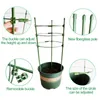 Tomato Rack Plant Stakes Climbing Trellis Rose Shelf Gardening Supplies Green 10PCS Glass Fiber Rod Planting Support Frame