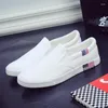 Sıradan ayakkabılar erkek ayakkabı büyük boy slip-on tuval trend küçük beyaz rahat düz dipli yürüyüş spor ayakkabı