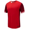 Canada Jersey Awayhome Copa America 2024 Soccer Jersey Football Shirt