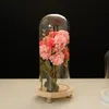 Masa üstü ekran cam kapak teraryum konteyner dekoru kuru çiçek süsleri zanaat zanaat çan kavanoz ahşap taban ayakları LED ışık tutucu