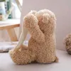 Plüschpuppen Drop Versand 30 cm Teddybär Versteck von Animationen mit sprechenden Tieren Bären Spielzeug schüchtern Bär Best Geburtstagsgeschenk für Kinder J240410