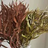 80g/35〜45cm、天然の植物のドライフラワーフォーエバーキビの葉のブーケ、結婚式の装飾用のユーカリのガーランド保存、家