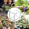 Mini växter växthus inomhus utomhus blomkruka täcker skydd transparent mjukt glasfilm växthus för trädgårdsväxter