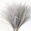 10pcs Flores secas naturais Reeds Creme cinza Pequeno pampas grama de casamento de casamentos fotografia adereços decoração de casamento em casa